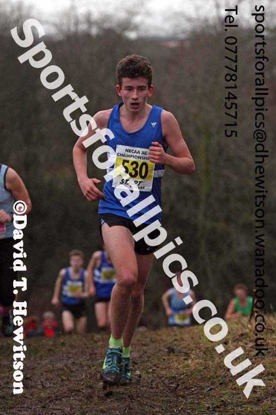 Mens under-17s North Eastern Cross Country, Aykley Heads, Durham. Photo: David T. Hewitson/Sports for All Pics